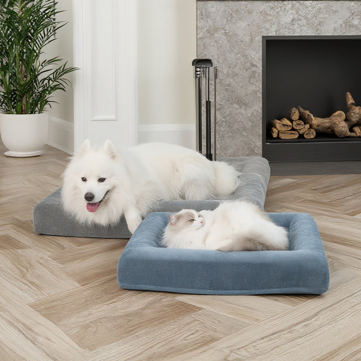 Elevated Orthopedic dog Cushion