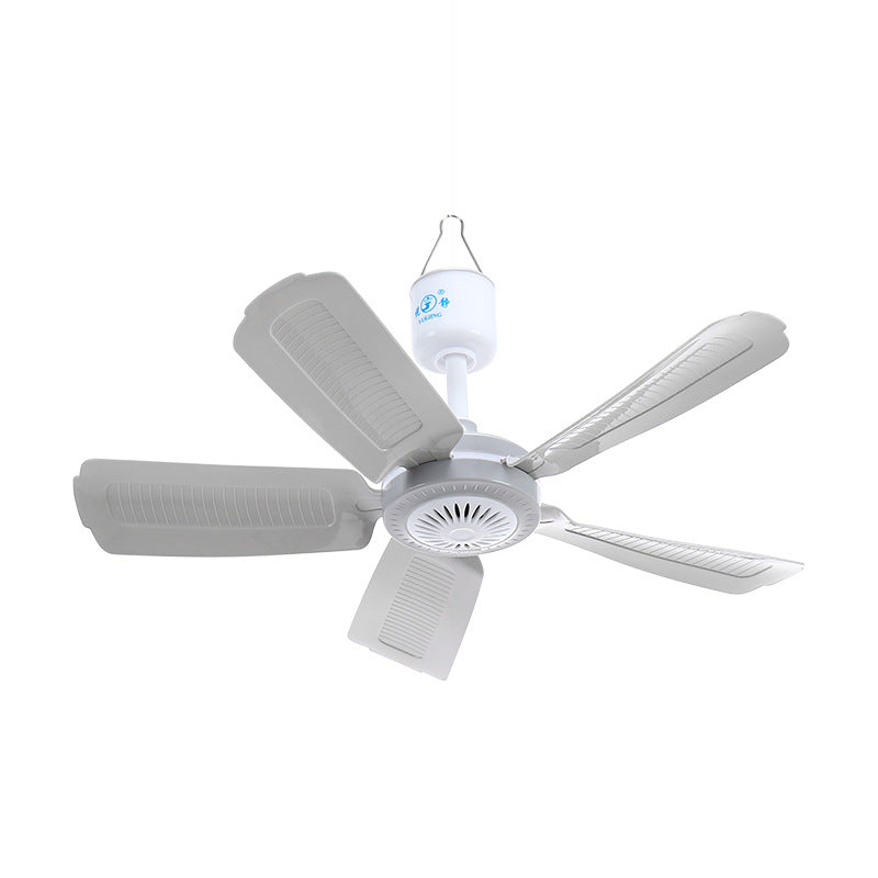 Ladies Ceiling Fan Bowlift
