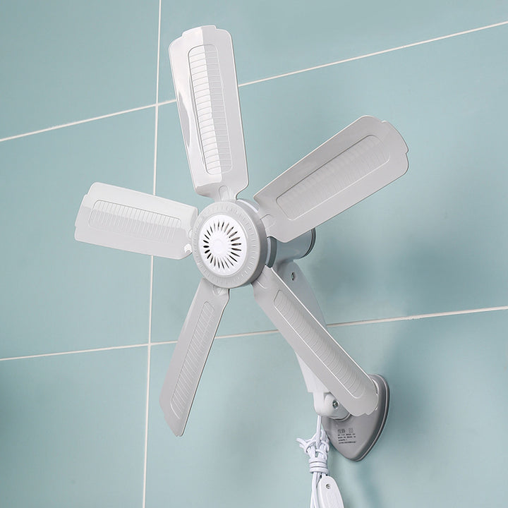 Women Wall Fan Bowlift