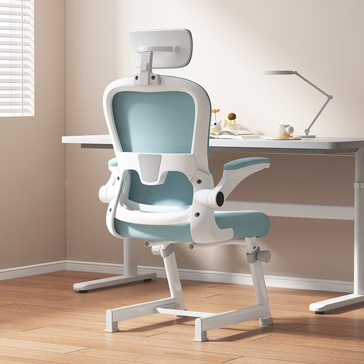 Ergonomic Office Chair Bowlift