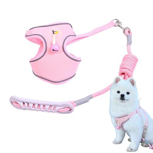 Pet harness with leash Bowlift