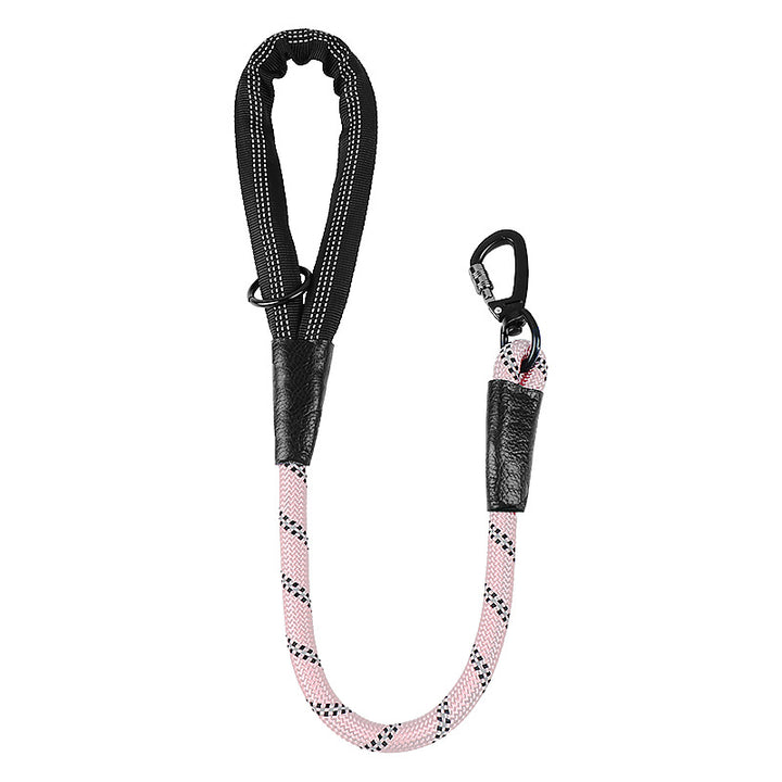 Dog Leash