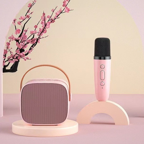 Portable Bluetooth Speaker with Wireless Microphone Bowlift