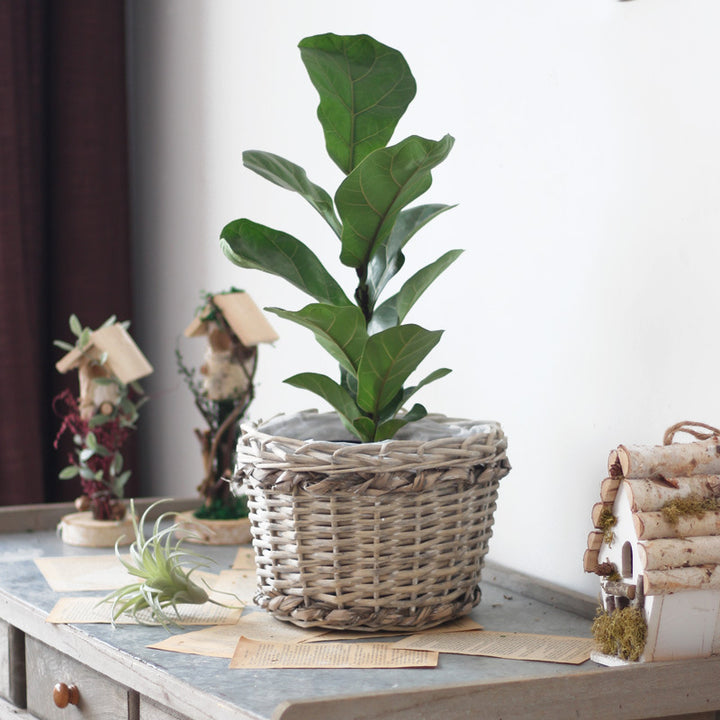 Rustic storage basket made of natural material Bowlift