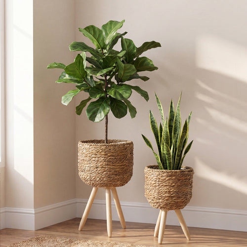 Bowlift Planter