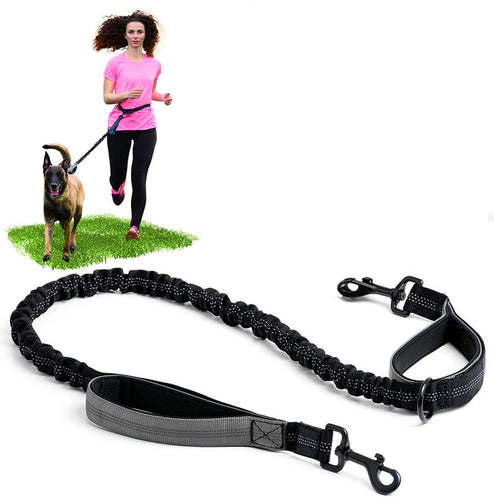 Bungee Dog Running Leash