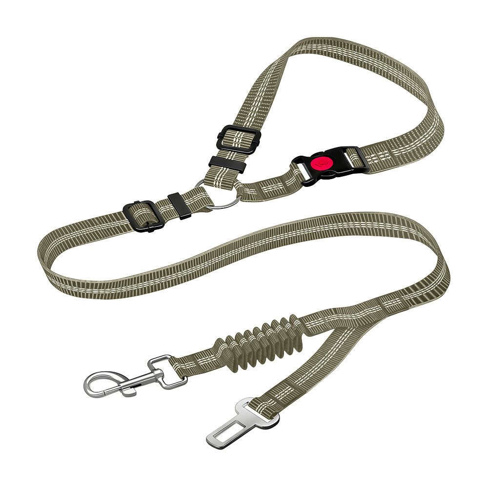 Adjustable Dog Leash