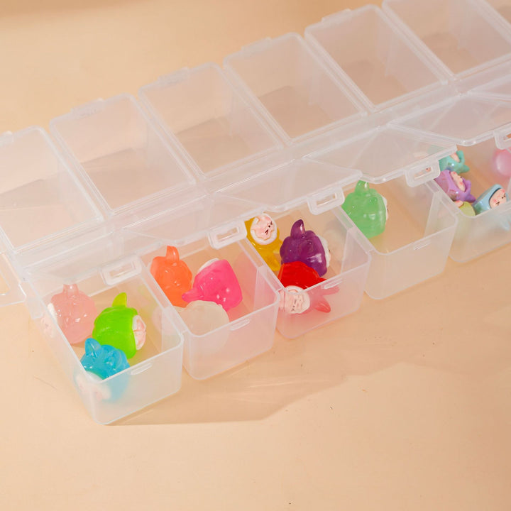 Transparent Multi-Section Storage Organizer Bowlift
