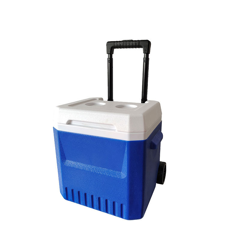 Ladies cooler bag with extendable handle and wheels Bowlift