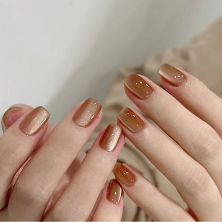 Premium Glossy Nail Tips Bowlift