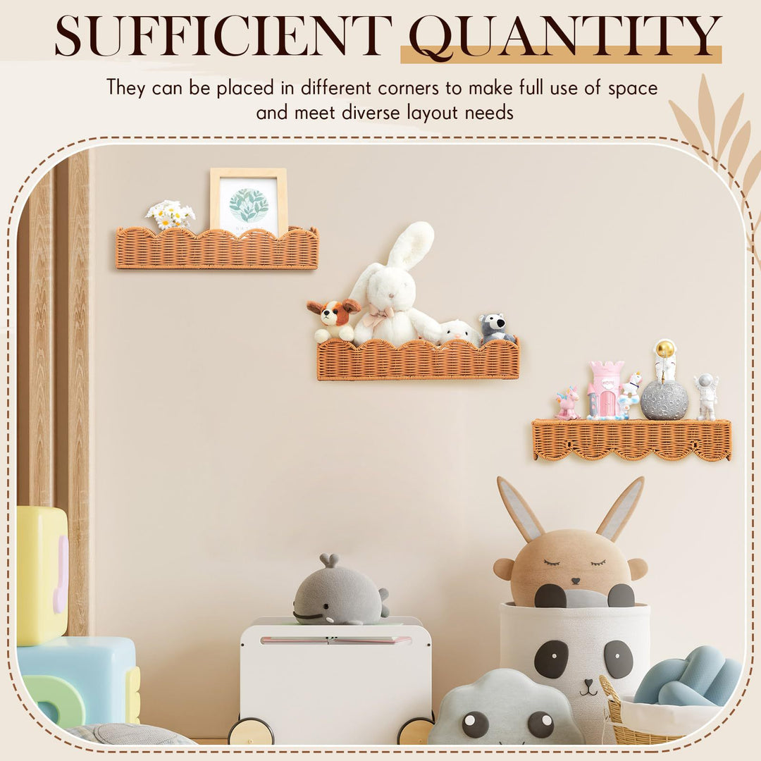 Rattan Wall Shelf Bowlift