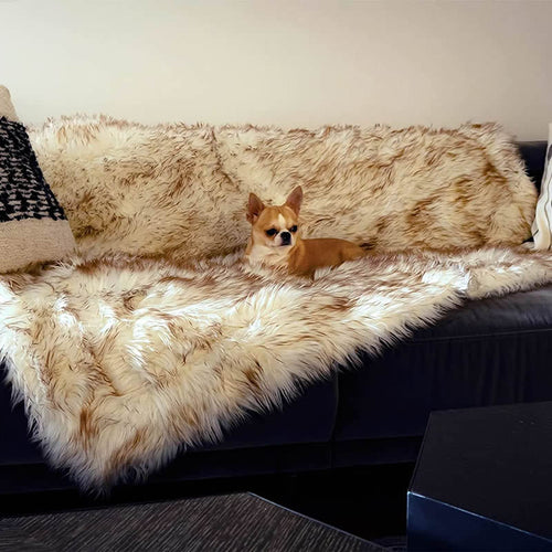 Unisex soft pet blanket with luxurious plush Bowlift
