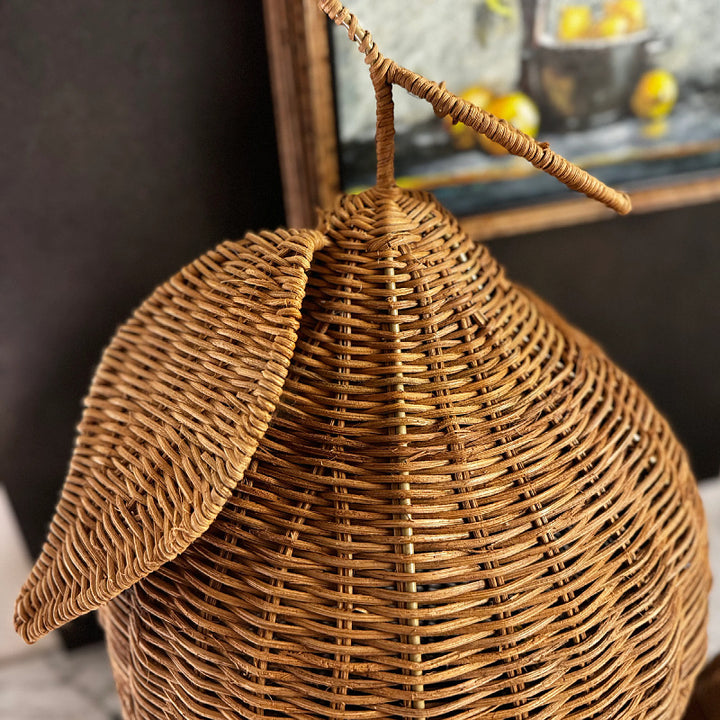 Playful fruit basket with lid Bowlift