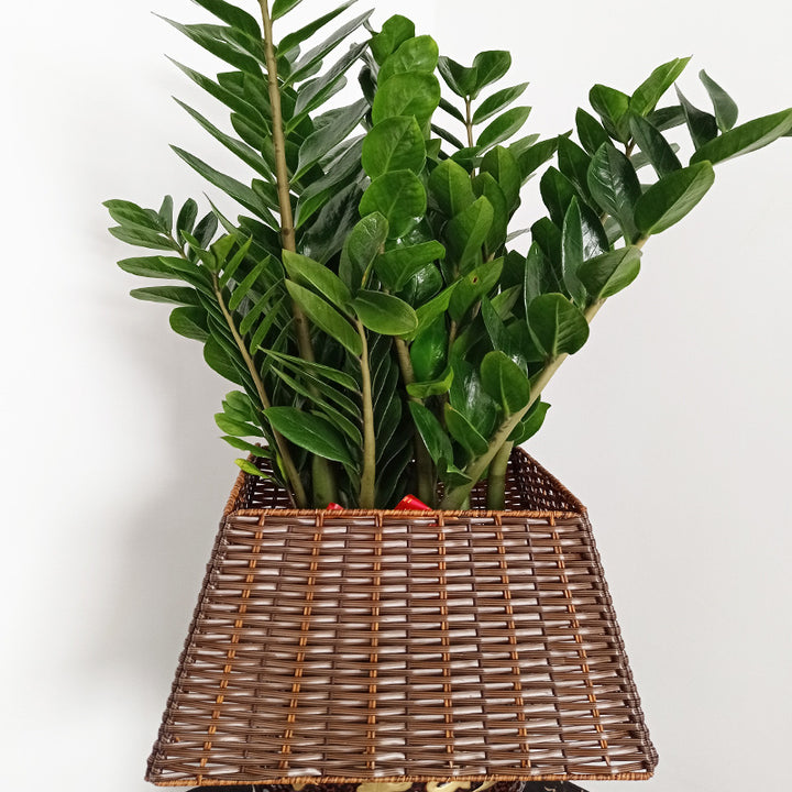 Storage Basket Bowlift