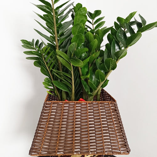 Storage Basket Bowlift