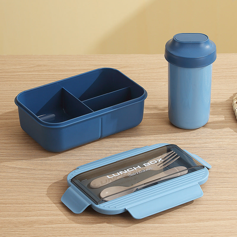 Multi-Section Food Storage Lunch Box