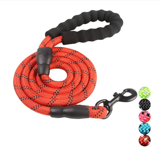 Dog Leash