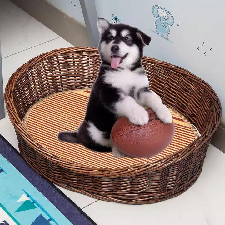 Women's basket for pets with comfortable sleeping area Bowlift