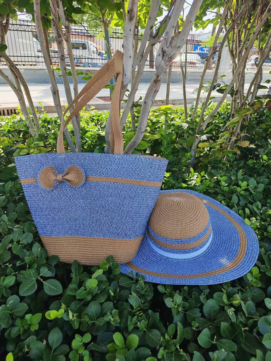 Beach bag Bowlift