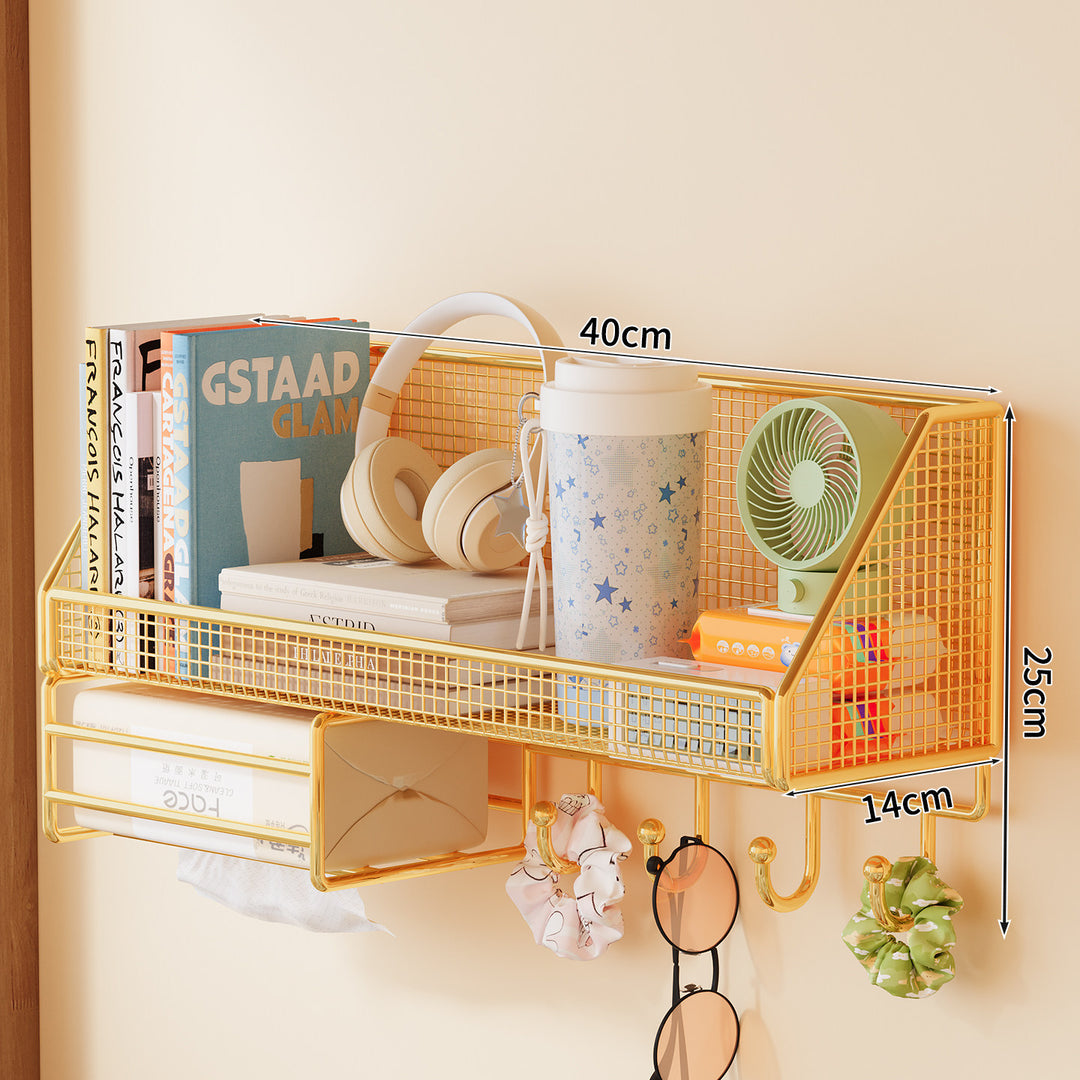 Wall-Mounted Mesh Storage Shelf Bowlift