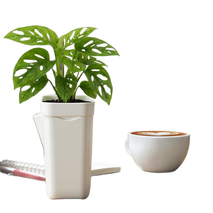 Self-Watering Planter Bowlift