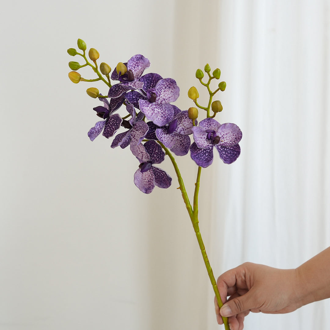 Elegant Orchid Stems Bowlift