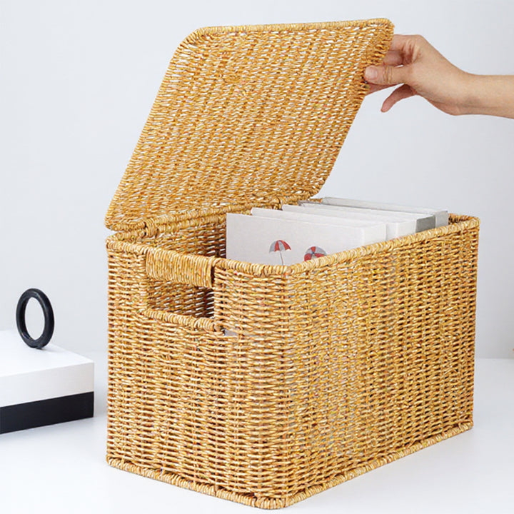 Ladies Generous Storage Basket with Lid Bowlift