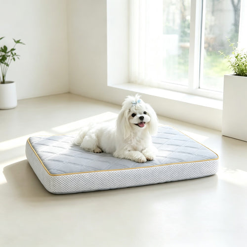 Quilted Comfort Orthopedic dog Mattress