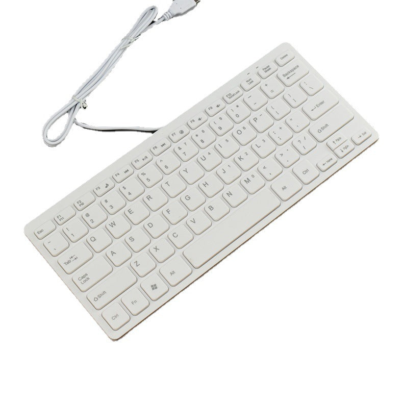 Flat USB keyboard with quiet keystrokes Bowlift