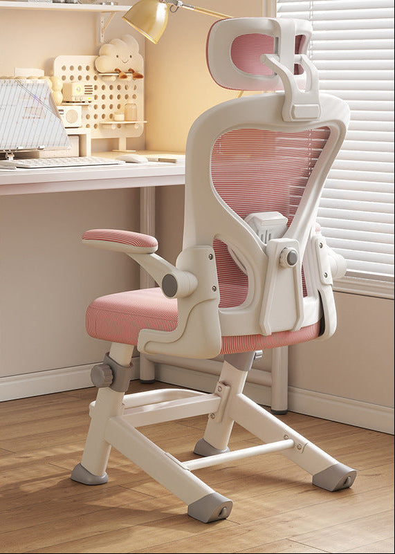 Ergonomic Office Chair Bowlift