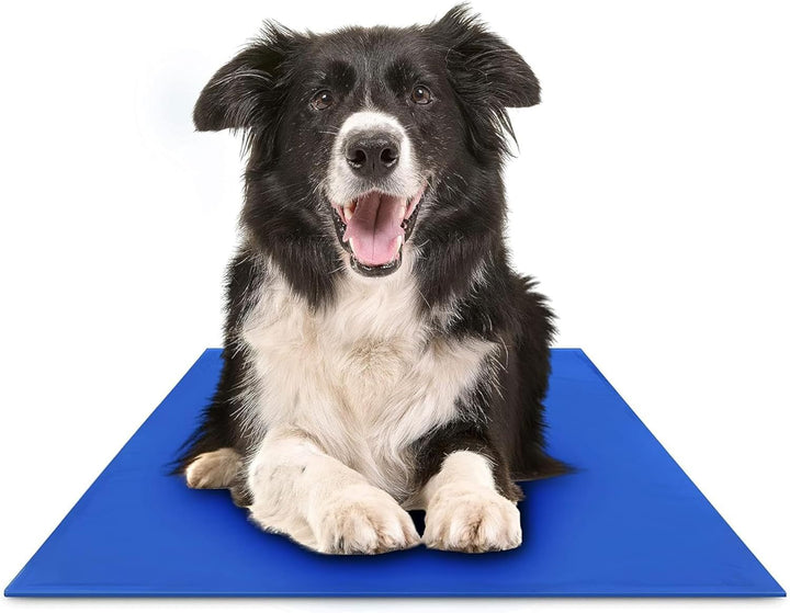 Cooling Dog Mat Bowlift