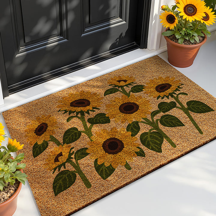 Doormat Bowlift