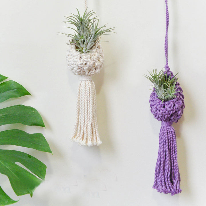 Macrame Hanging Plant Holder with Decorative Tassel Bowlift