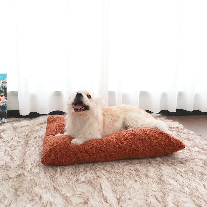 Cozy Bolstered dog Lounge