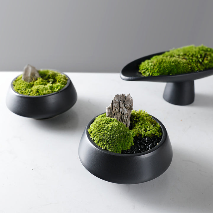 Decorative Moss Bowl with Pedestal Base