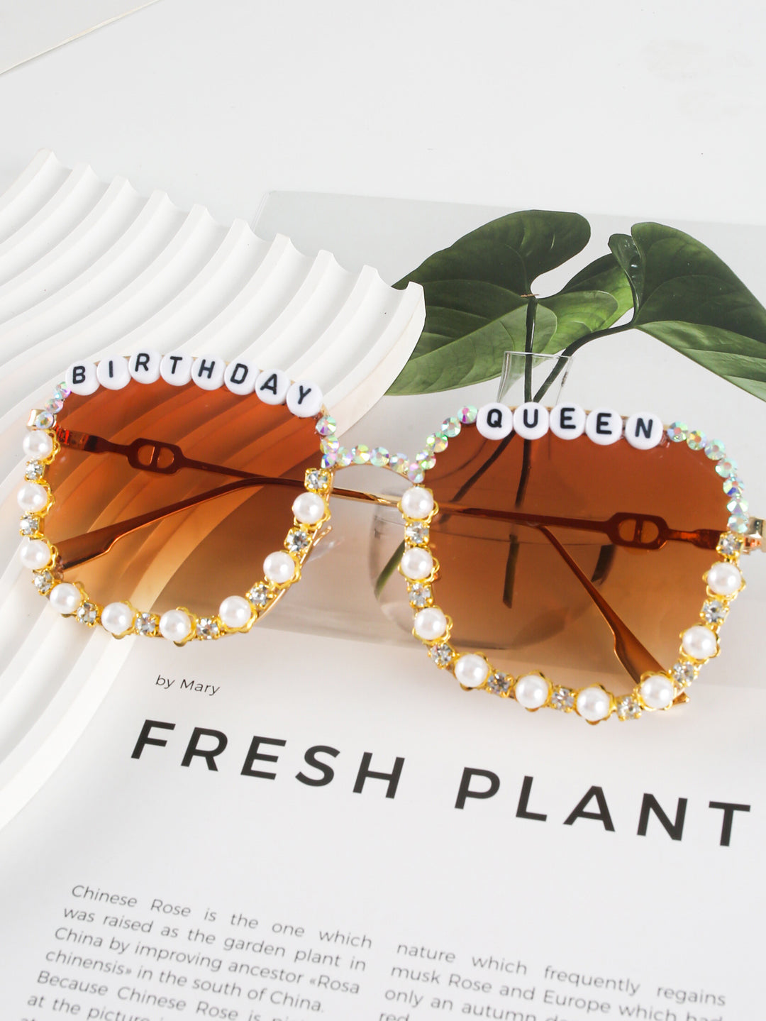 Fashion Sunglasses Bowlift