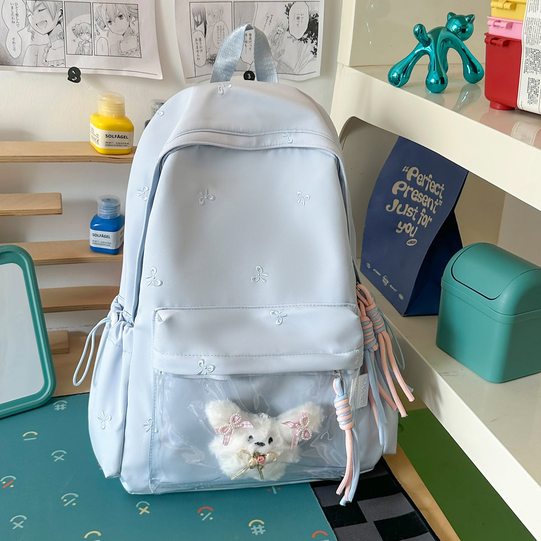 Functional Transparent Backpack