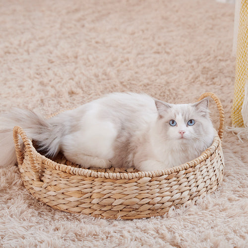 Cozy Cat Bed Bowlift
