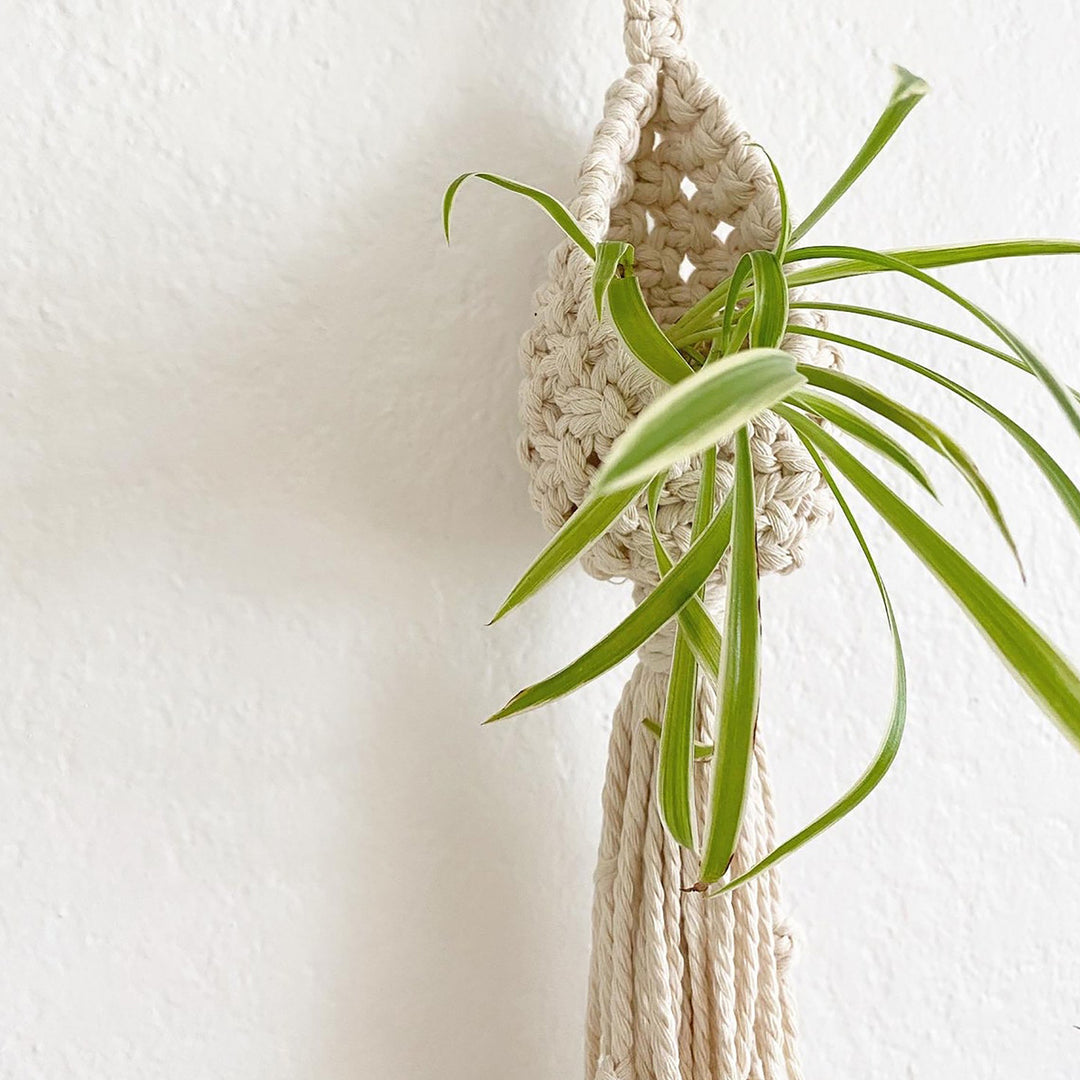 Bohemian Plant Holder Bowlift