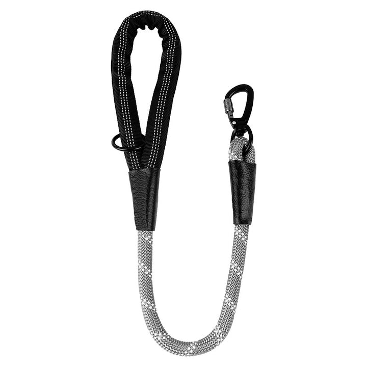 Dog Leash