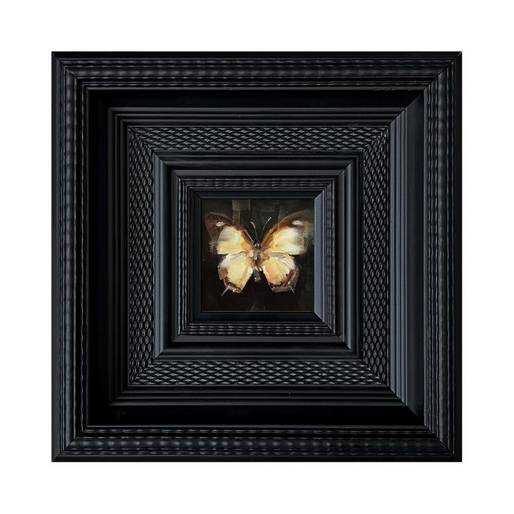 Insect Art Display in Frames