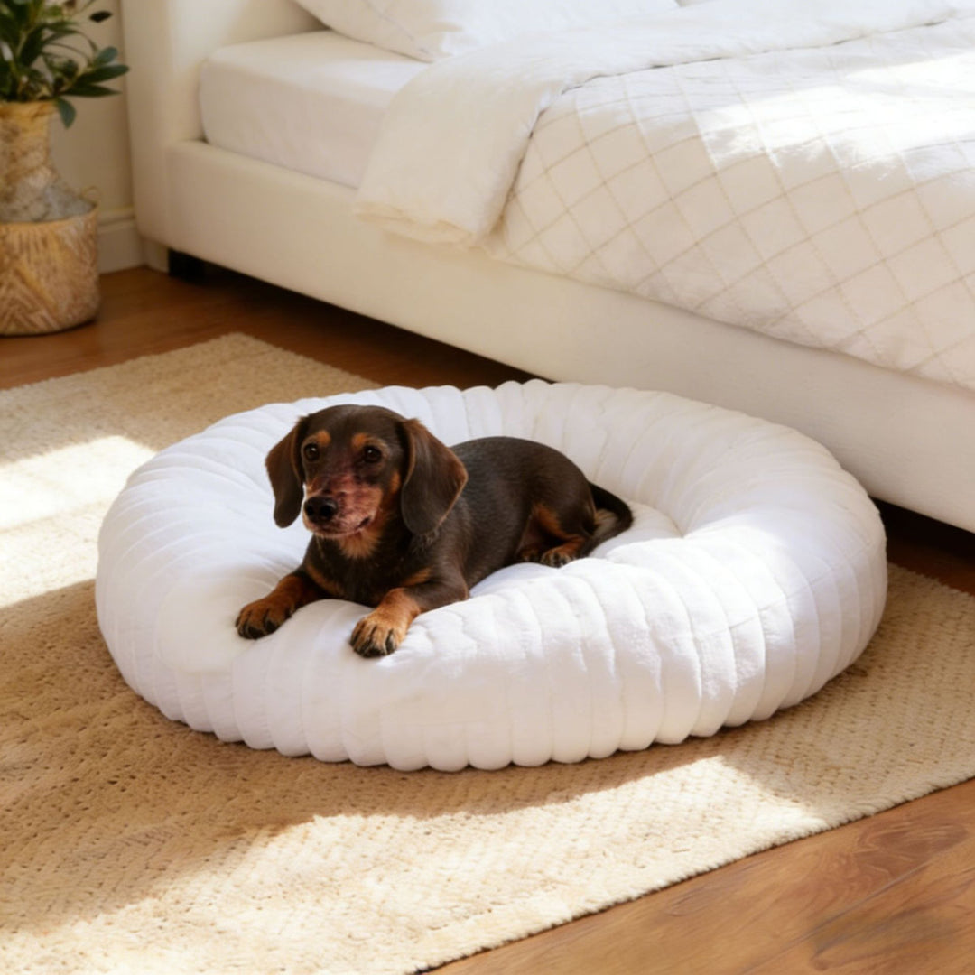 Plush Round Cat Bed