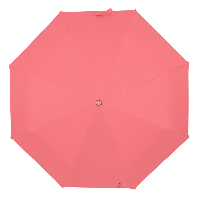 Ladies Travel Umbrella Bowlift