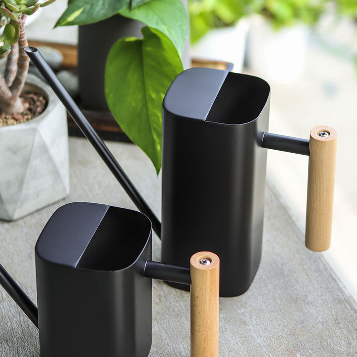 Modern Watering Can