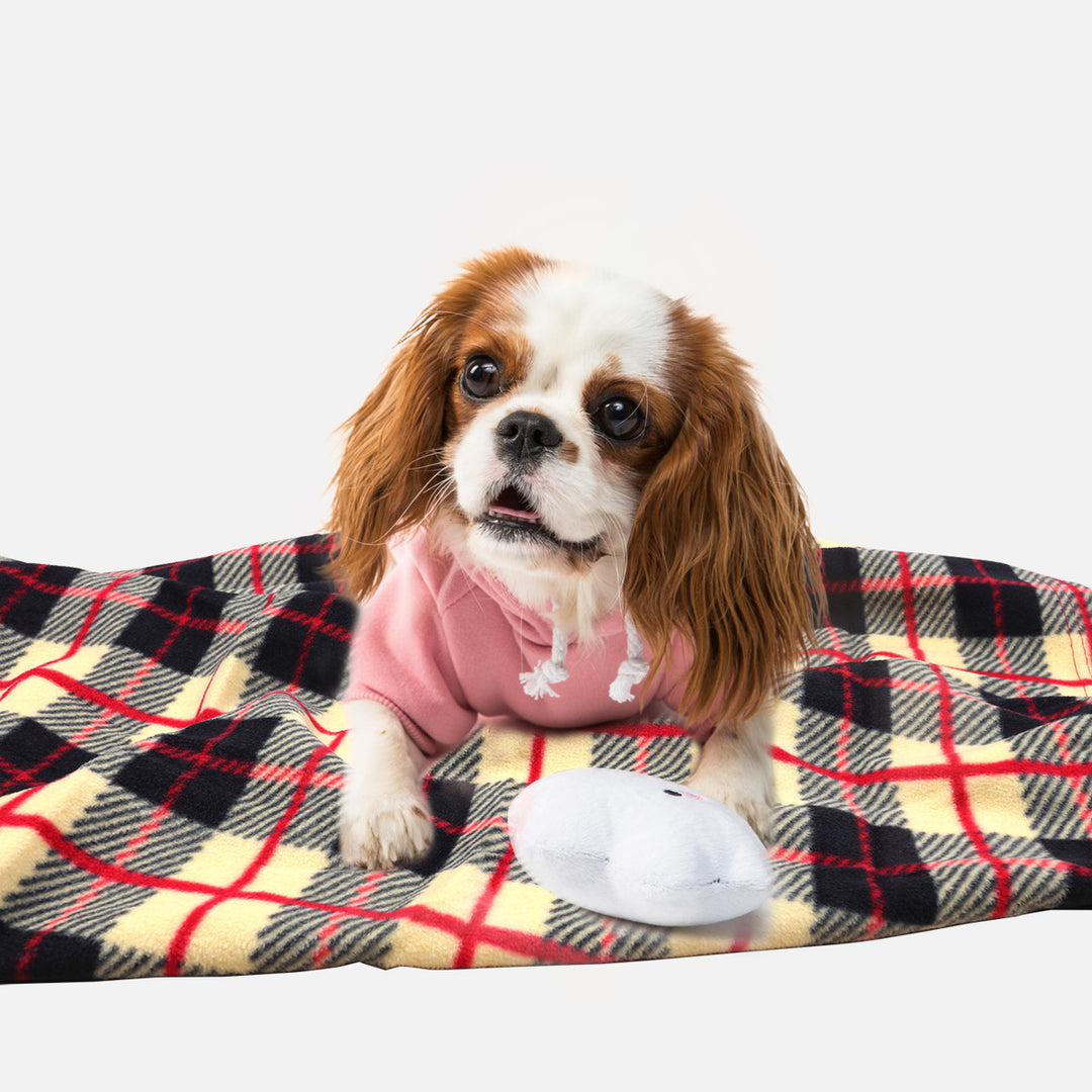 Women's cuddly blanket made of super soft microfiber fabric Bowlift