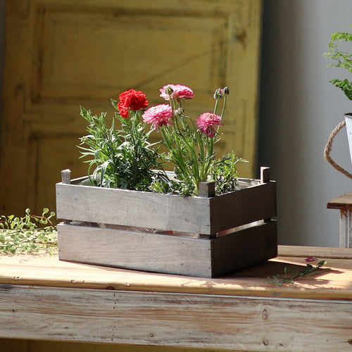 Decorative wooden container Bowlift