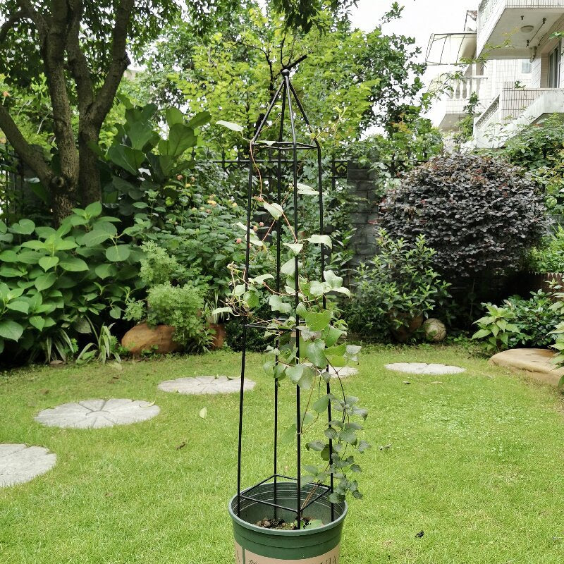 Plant Support