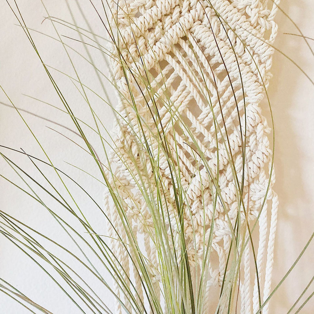Macrame Wall Hanging Plant Holder Bowlift