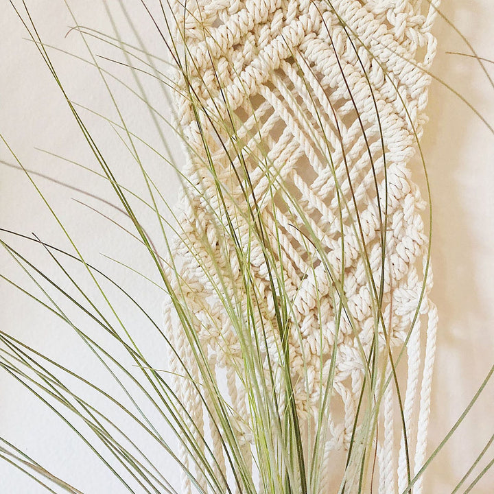 Macrame Wall Hanging Plant Holder Bowlift
