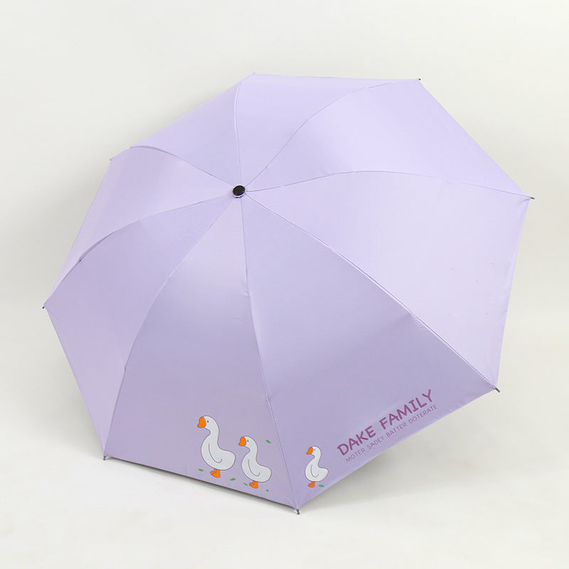 Ladies Umbrella Bowlift